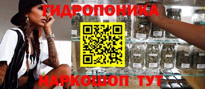 спиды Заводоуковск