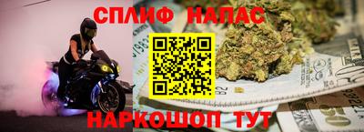 гидра Заволжье