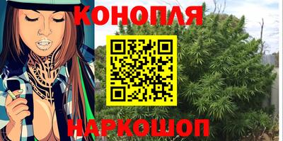 гидра Заволжье