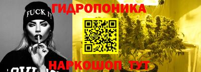 спиды Заводоуковск